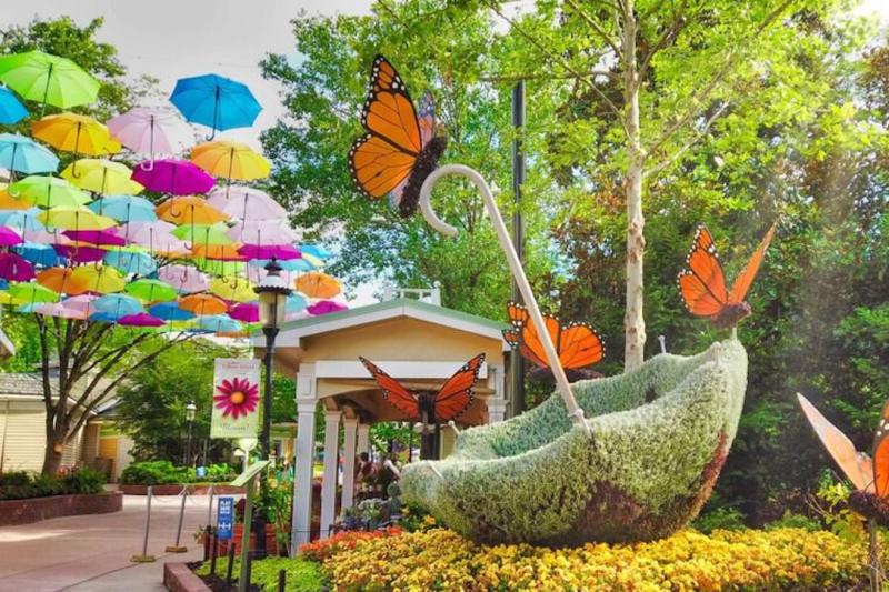 From Nashville: Dollywood Day Trip Full Day