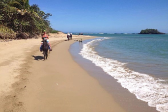 Punta Cana:Horseback Riding Tour