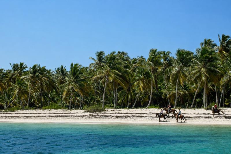 Punta Cana:Horseback Riding Tour