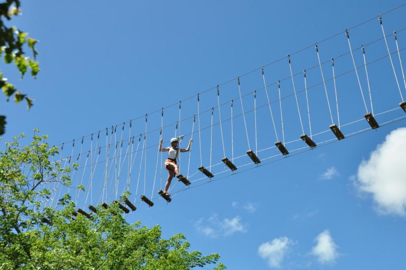 Hanging bridge