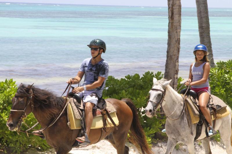 Get to know a friendly horse while touring the Dominican Republic