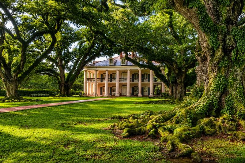 From New Orleans: Oak Alley Plantation Tour