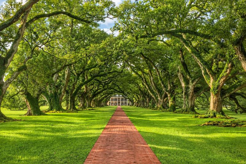 From New Orleans: Oak Alley Plantation Tour