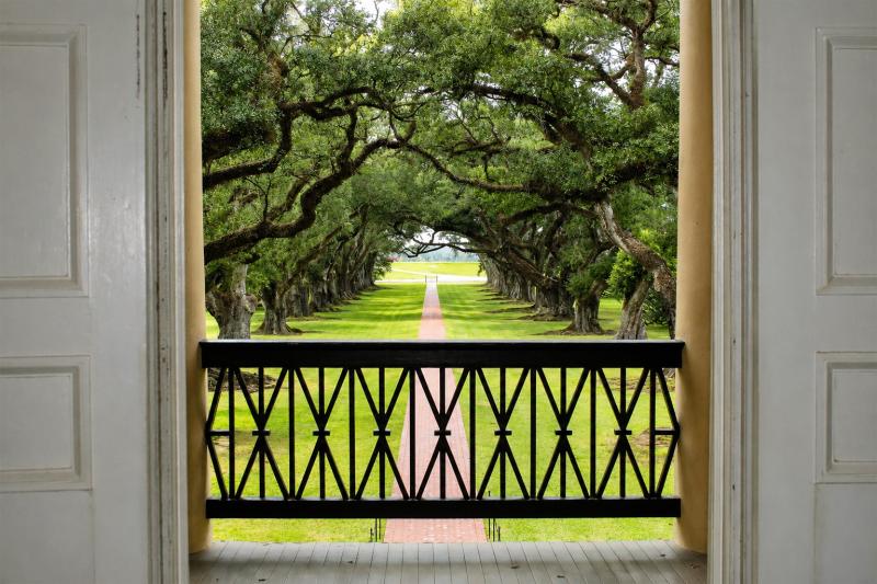 From New Orleans: Oak Alley Plantation Tour