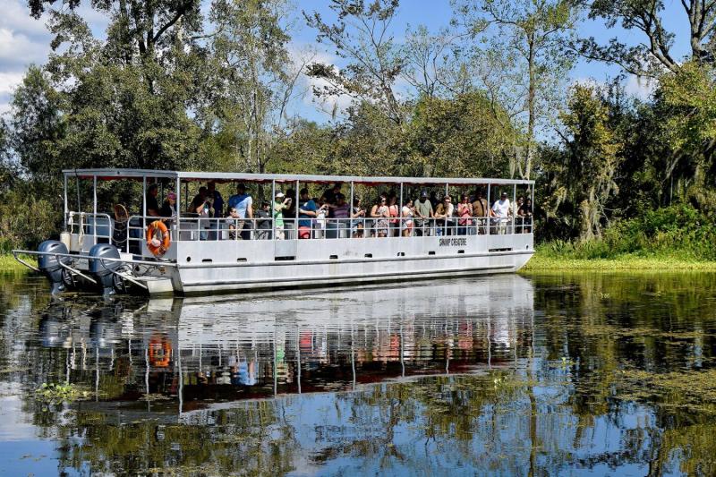 From New Orleans: Swamp and Bayou Alligator Tour