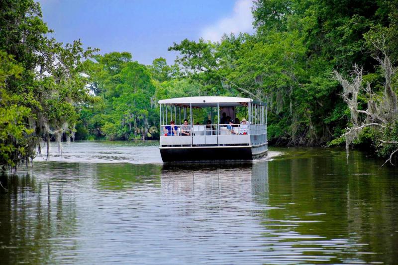 From New Orleans: Swamp and Bayou Alligator Tour