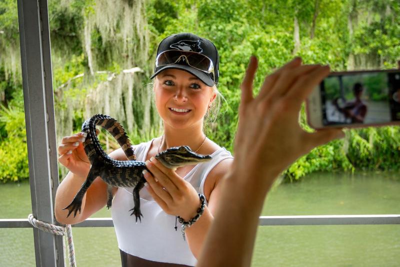 From New Orleans: Swamp and Bayou Alligator Tour