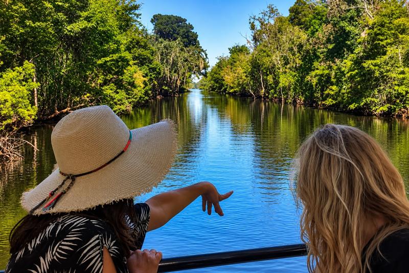 From New Orleans: Swamp and Bayou Alligator Tour