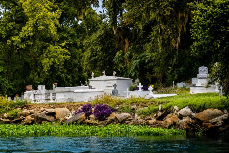 From New Orleans: Swamp and Bayou Alligator Tour