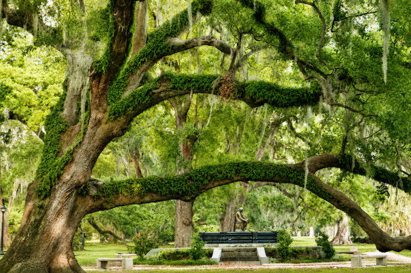 New Orleans: City & Cemetery Tour with Garden District Stroll
