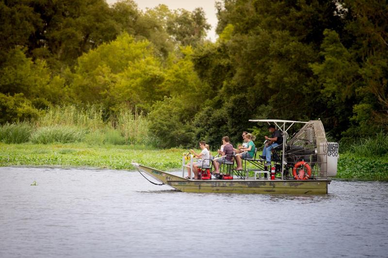From New Orleans: Small Airboat Swamp Adventure Tour