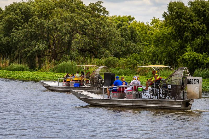 From New Orleans: Small Airboat Swamp Adventure Tour