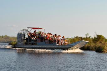 From New Orleans: Large Airboat Swamp Adventure Tour