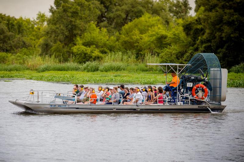 From New Orleans: Large Airboat Swamp Adventure Tour