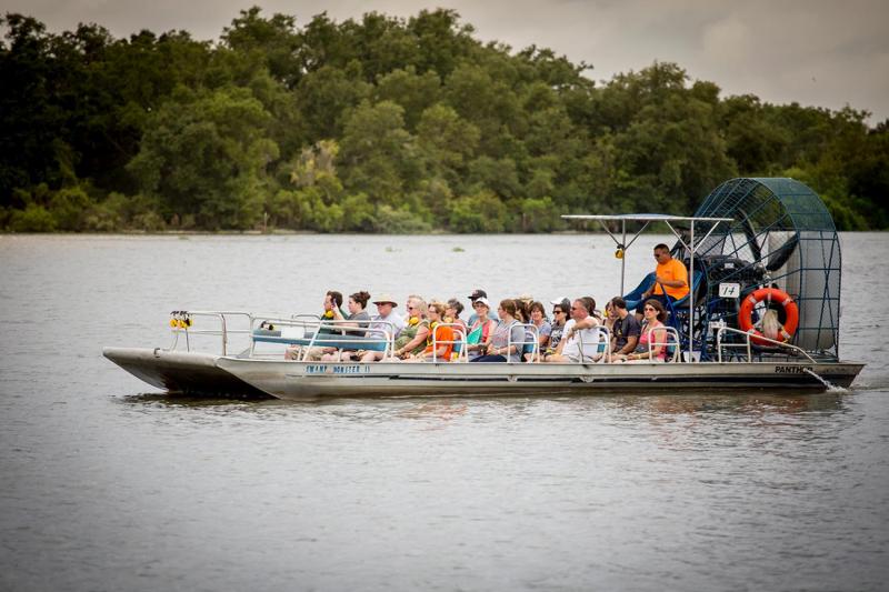 From New Orleans: Large Airboat Swamp Adventure Tour