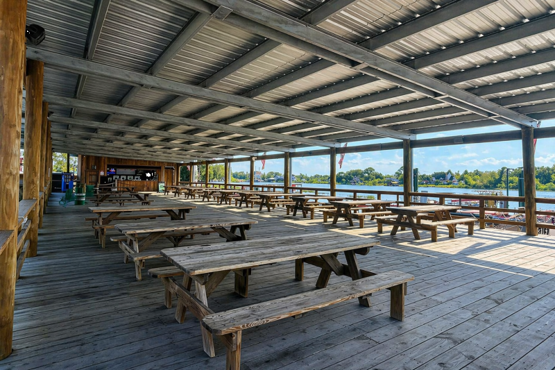 From New Orleans: Large Airboat Swamp Adventure Tour
