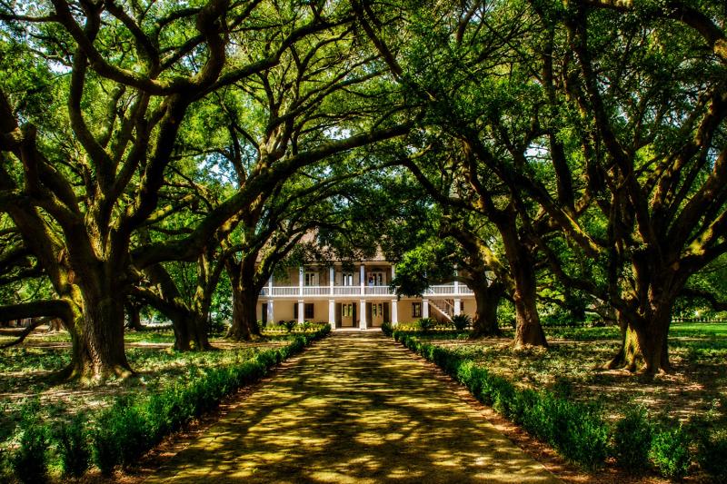 From New Orleans: Whitney Plantation Tour