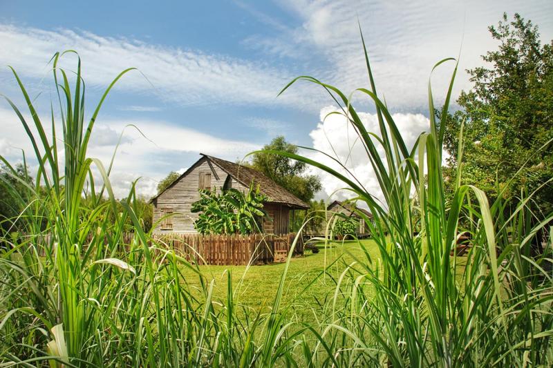From New Orleans: Whitney Plantation Tour