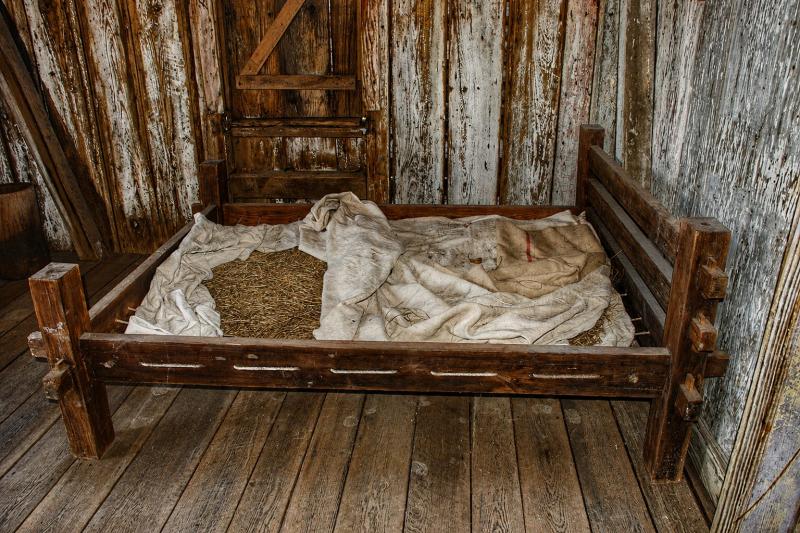 From New Orleans: Whitney Plantation Tour