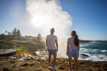 From Sydney: Jervis Bay Full Day Tour