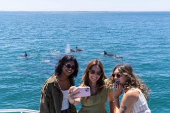 From Sydney: Jervis Bay Tour in Mandarin Full Day