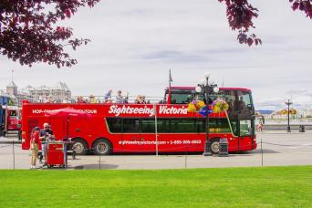 48hr Hop-on Hop-off Tour