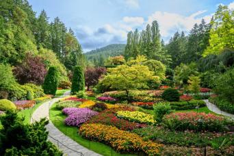 From Vancouver: Victoria & Butchart Gardens Full-Day Tour