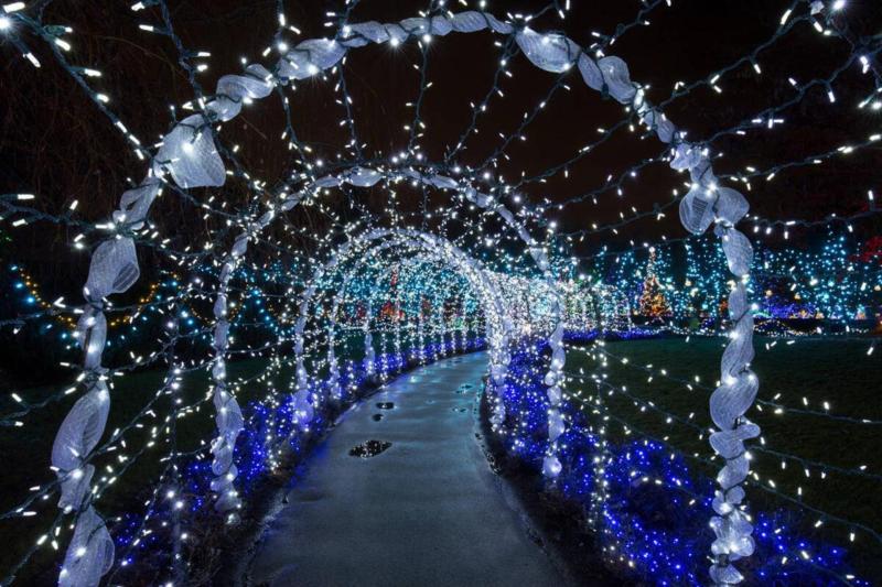 Vancouver: Christmas Lights Karaoke Trolley Tour with Optional VanDusen Botanical Garden Visit