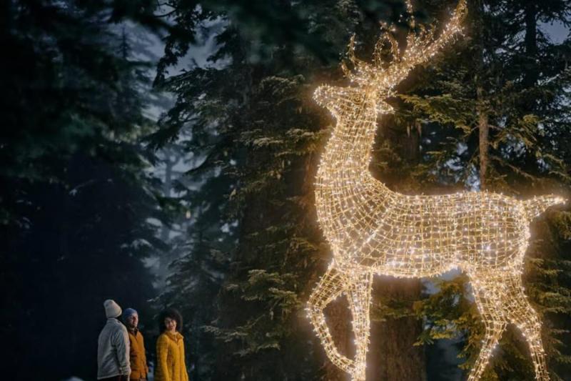 Vancouver: Christmas Lights Karaoke Trolley Tour with Optional VanDusen Botanical Garden Visit