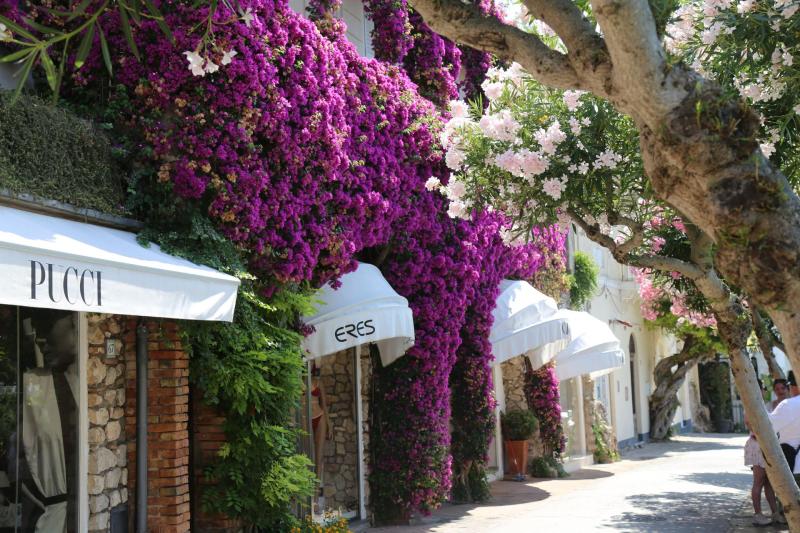 Private Tour of Capri & Anacapri with Blue Grotto from Naples