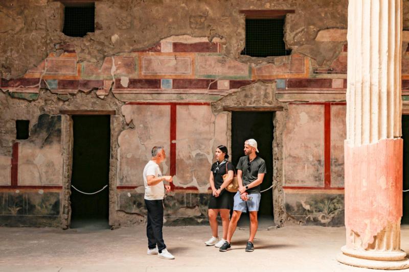 Private Tour of Pompeii with Priority Access from Positano