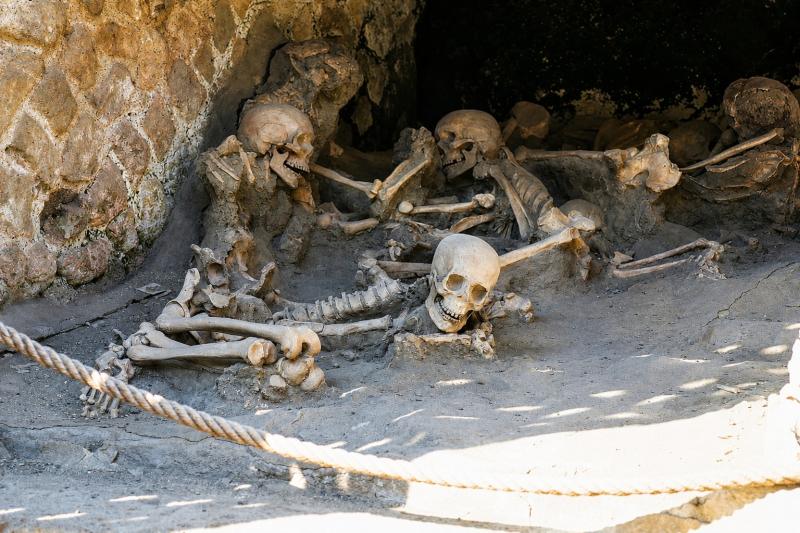 Private Tour of Herculaneum with Priority Access from Naples