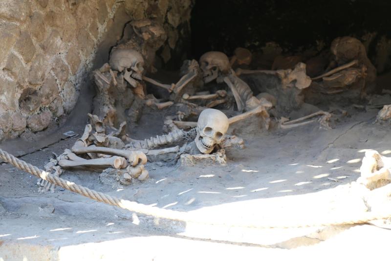 Private Tour of Herculaneum with Priority Access from Positano