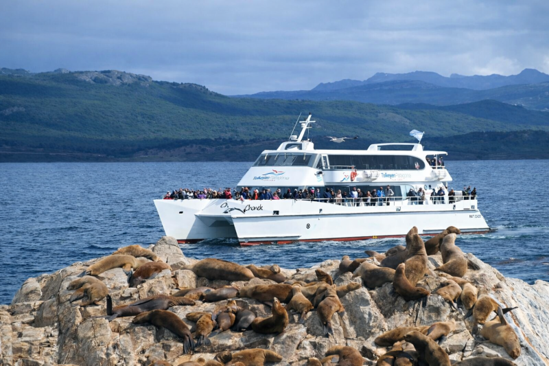 Navigation through the Beagle Channel, Los Lobos Island and the Bridges Islands