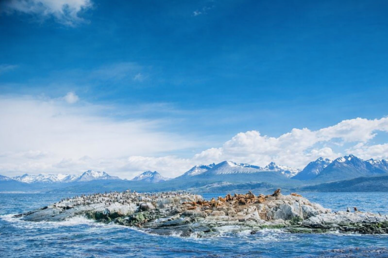 Navigation through the Beagle Channel, Los Lobos Island and the Bridges Islands