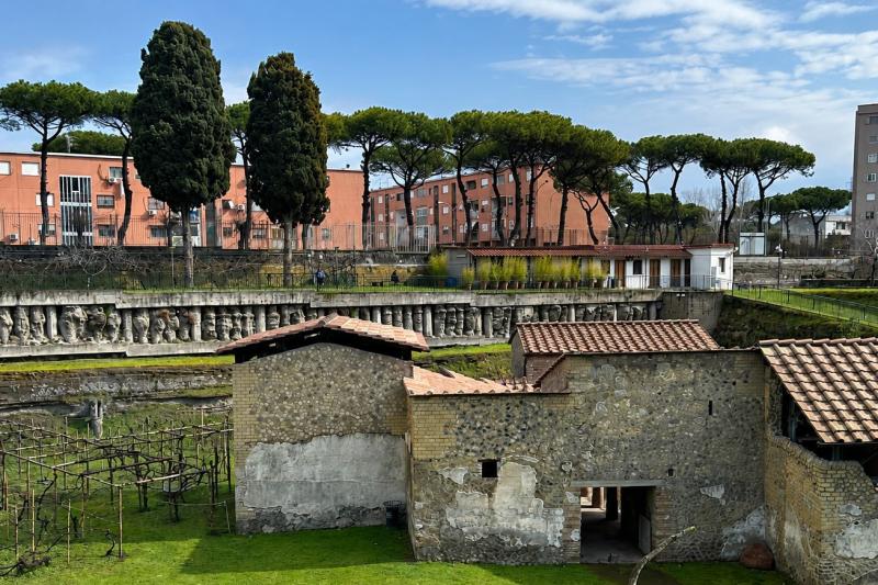 From Sorrento: A Journey Through Ruins & Untouched Nature in Vesuvius National Park Full Day