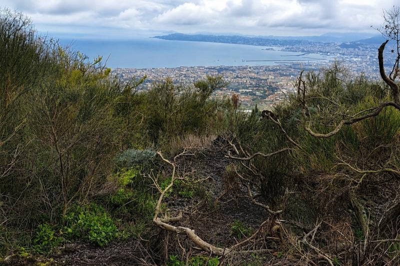 From Sorrento: A Journey Through Ruins & Untouched Nature in Vesuvius National Park Full Day