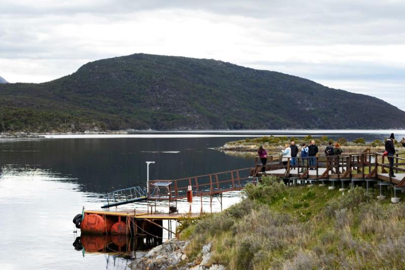 From Ushuaia: Discover Tierra del Fuego National Park