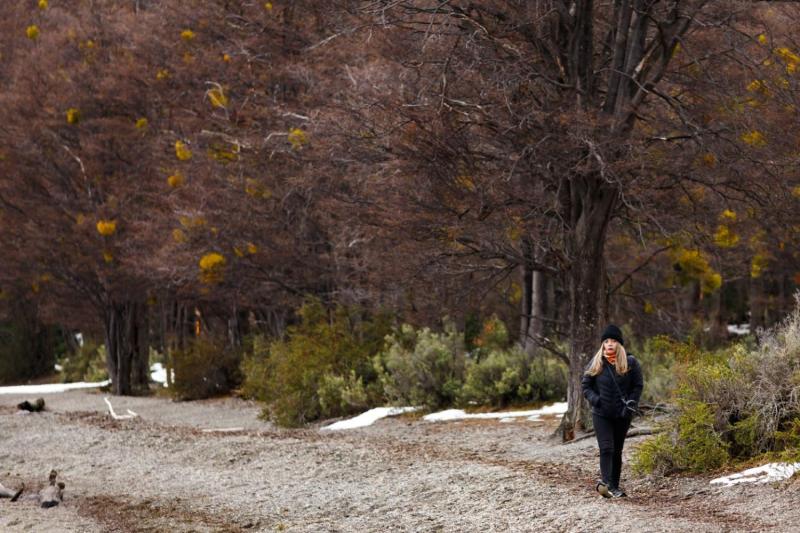 From Ushuaia: Discover Tierra del Fuego National Park