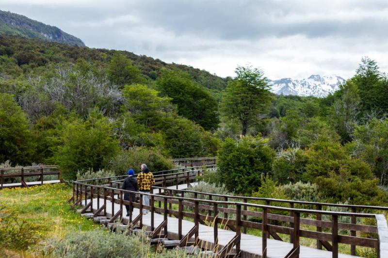 From Ushuaia: Discover Tierra del Fuego National Park