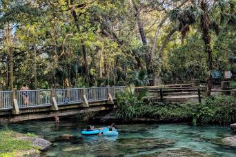 From Orlando: Rock Springs River Tubing & Apopka Wildlife Adventure with Hotel Pickup