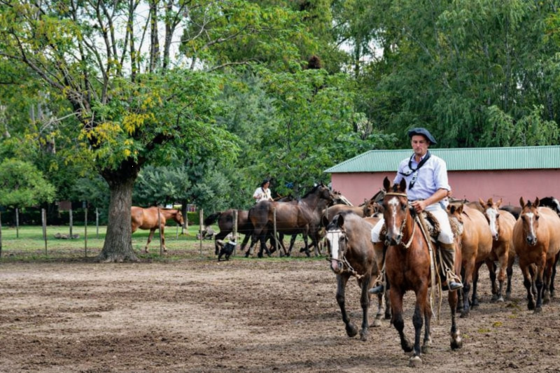 Day Ranch and Fiesta Gaucha in Santa Susana Ranch