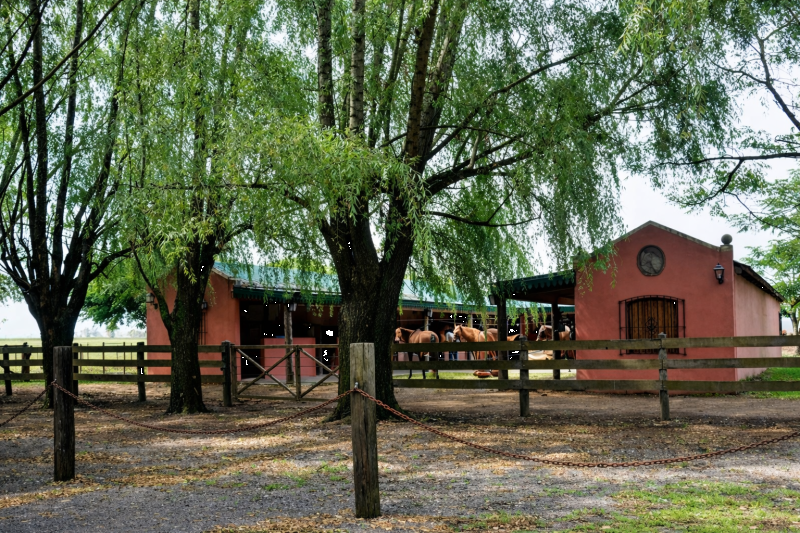 Day Ranch and Fiesta Gaucha in Santa Susana Ranch