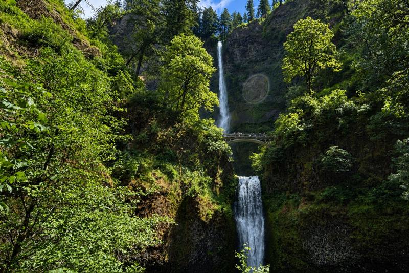 From Portland, Oregon: Gorge Explorer - Multnomah Falls Full Day