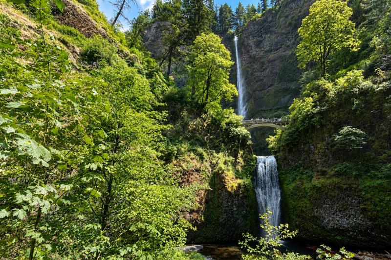 From Portland, Oregon: Gorge Explorer Waterfall Express - PDX08WT