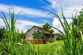 From New Orleans: Swamp Boat Cruise and Whitney Plantation Tour