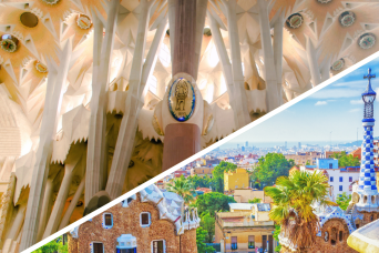 Fast Track: Park Güell & Sagrada Familia Guided Tour with Tower Access without transfer