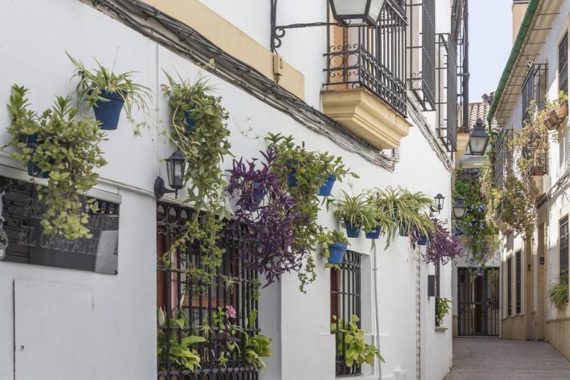 7-Day Tour Andalusia & Mediterranean Coast & Barcelona from Madrid - T Class