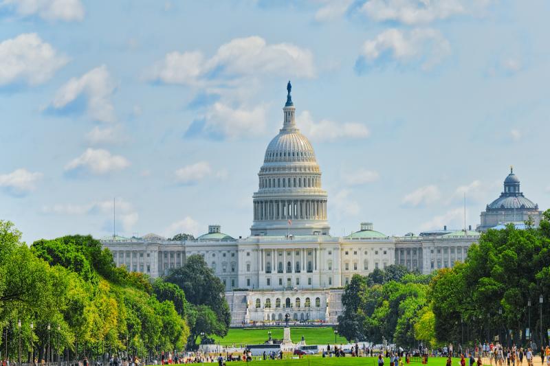 Washington DC: Capitol Hill Walking Tour with U.S. Capitol & Library of Congress Entry