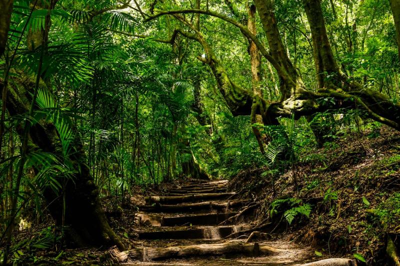 Visit Cerro Verde and the Volcano Lookout Points